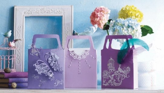 WLAN ScanNCut SDX Serie