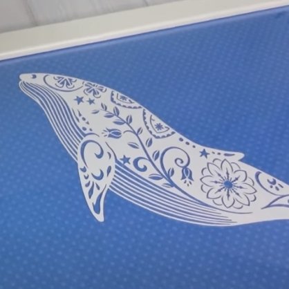 5 Zoll Display Brother SDX1350