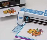 Direktschnitt Funktion